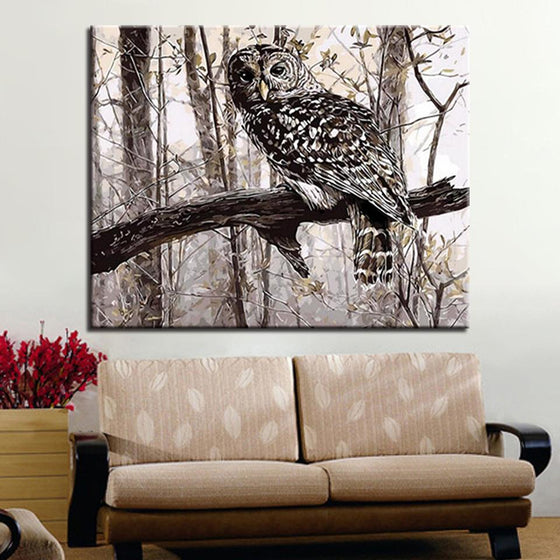 Owl On The Branch - DIY Painting by Numbers Kit