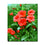 Red Flower Green Grass - DIY Painting by Numbers Kit