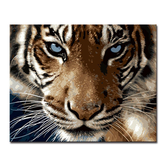 Tiger's Sharp Eyes - DIY Painting by Numbers Kit