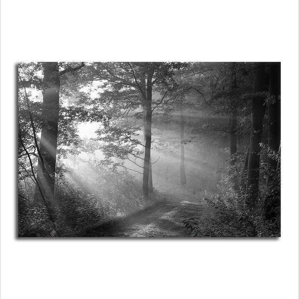 Black And White Forest Canvas Wall Art NatureThemed Art Print