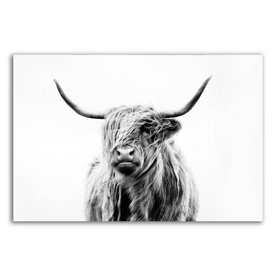 Black & White Highland Cow Canvas Wall Art