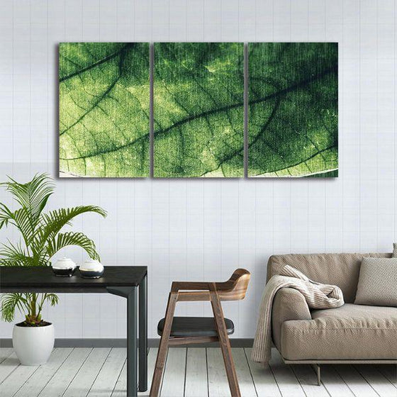 Closeup Green Leaf 3 Panels Canvas Wall Art Decor