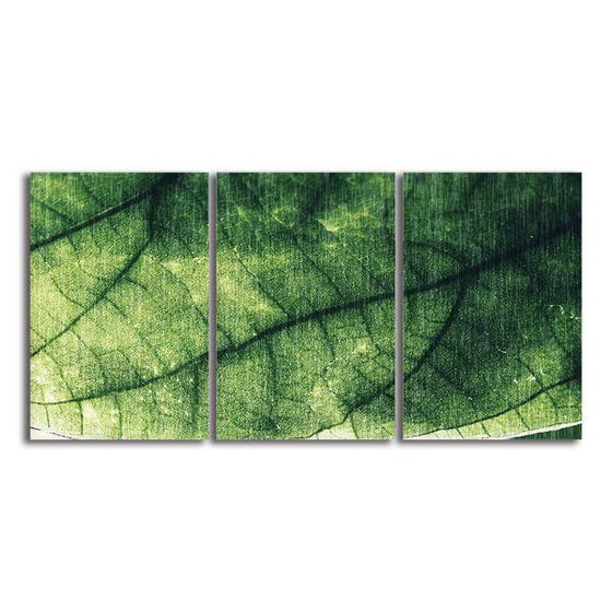 Closeup Green Leaf 3 Panels Canvas Wall Art
