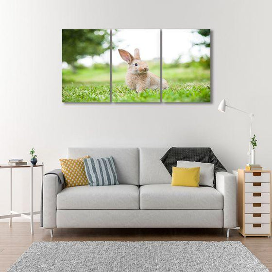 Cute Rabbit In The Grass 3 Panels Canvas Wall Art Set