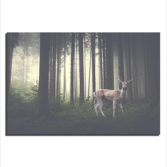 Foggy Forest With A Wild Deer Canvas Wall Art