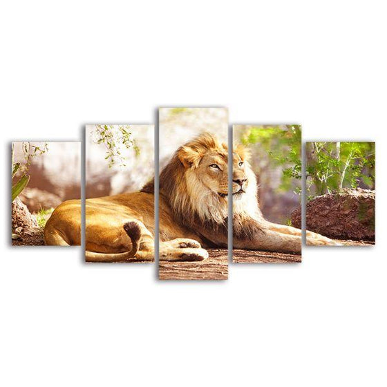King Of The Jungle 5 Panels Canvas Wall Art