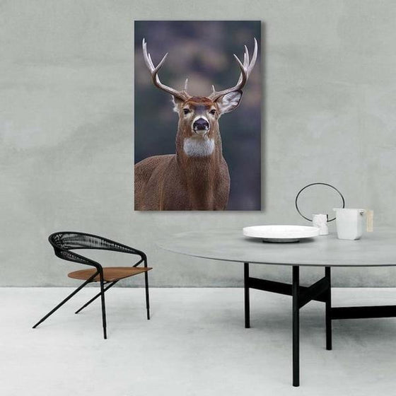 Proud Wild Deer Canvas Wall Art Ideas
