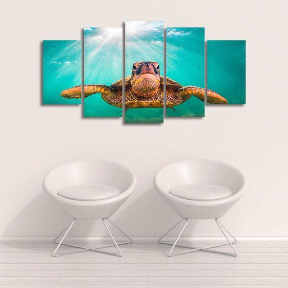 Sea Turtle's Aquatic Life 5 Panels Canvas Wall Art Decors