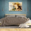 Sleeping Lion Head Canvas Wall Art Bedroom