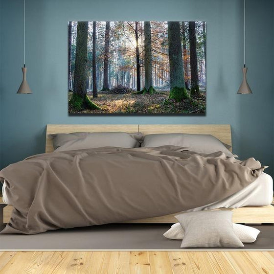 Sunrise In The Woods Wall Art Bedroom