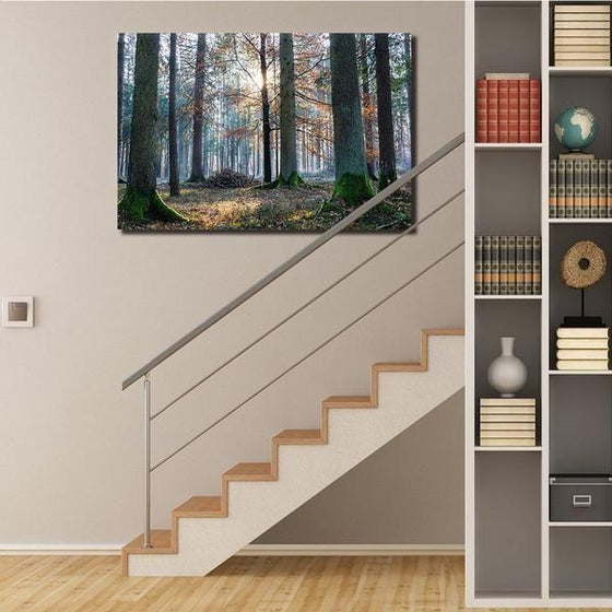Sunrise In The Woods Wall Art Decors
