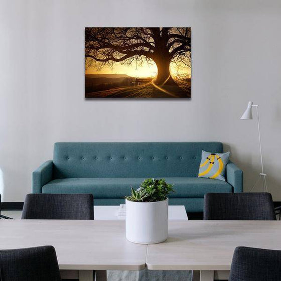 Sunset With Old Tree Wall Art Living Room