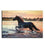 Wild Horse At The Beach Canvas Wall Art