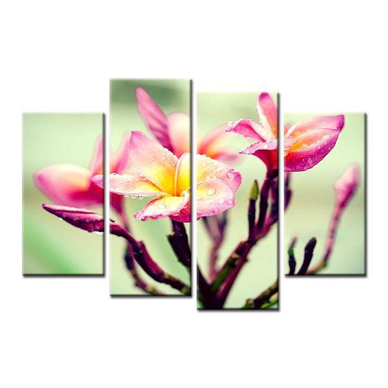 Watered Flower Canvas Wall Art