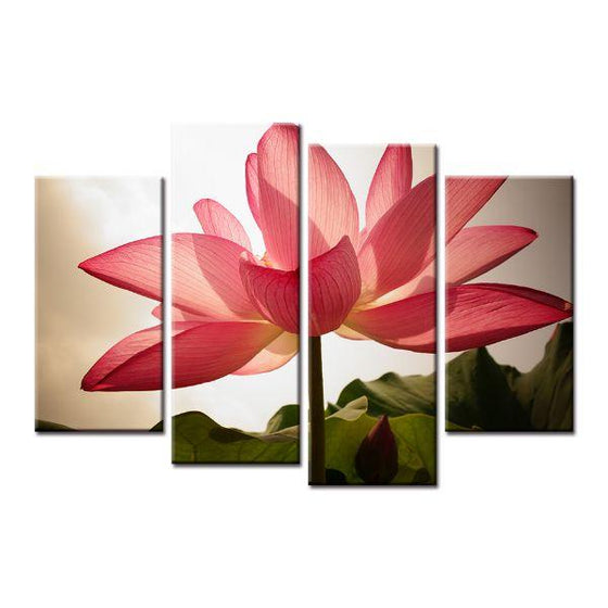 Pink Lotus Flower Canvas Wall Art Prints