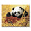 Baby Panda - DIY Painting by Numbers Kit