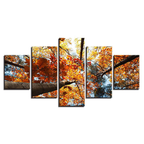 Autumn Tree Sun Raise Canvas Wall Art