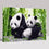 Chinese Pandas - DIY Painting by Numbers Kit