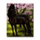 Cherry Blossom Beautiful Horse Under - DIY Painting by Numbers Kit