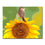 Sunflower Wall Art - DIY Painting by Numbers Kit