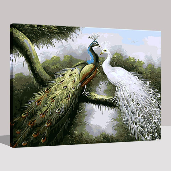 Peafowl Couple - DIY Painting by Numbers Kit