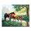 Horse Family Portrait - DIY Painting by Numbers Kit