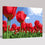 Red Tulip Garden - DIY Painting by Numbers Kit