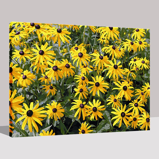 Marigold Flowers - DIY Painting by Numbers Kit