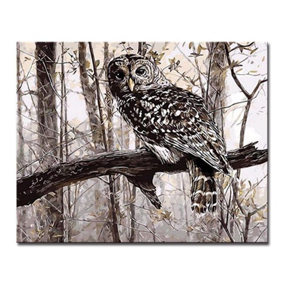 Owl On The Branch - DIY Painting by Numbers Kit