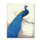 Blue Peacock Left - DIY Painting by Numbers Kit
