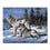 Snow Wolf Couple - DIY Painting by Numbers Kit