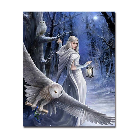 Beautiful Woman In White Dress And Owl In The Middle Of The Night - DIY Painting by Numbers Kit