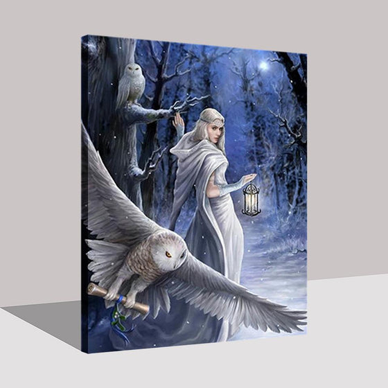 Beautiful Woman In White Dress And Owl In The Middle Of The Night - DIY Painting by Numbers Kit