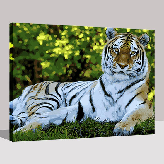 The Tiger - DIY Painting by Numbers Kit