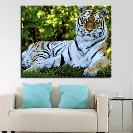 The Tiger - DIY Painting by Numbers Kit