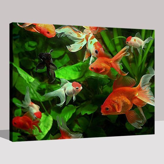 Goldfish Aquarium - DIY Painting by Numbers Kit