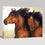 Brown Couple Horses Wall Art Prints - DIY Painting by Numbers Kit