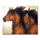 Brown Couple Horses Wall Art - DIY Painting by Numbers Kit