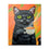 Black Cat With A Cup Of Coffee - DIY Painting by Numbers Kit