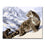 Winter Snow Leopard - DIY Painting by Numbers Kit