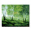 Green Trees And Grasses - DIY Painting by Numbers Kit