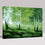 Green Trees And Grasses - DIY Painting by Numbers Kit