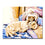 Intimate Dog And Cat Sleeping - DIY Painting by Numbers Kit