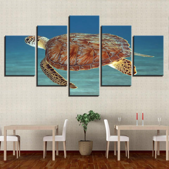 Tortoise Canvas Wall Art