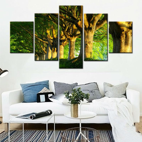 Green Fresh Trees With Sun Raise Canvas Wall Art