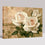 Gorgeous White Rose - DIY Painting by Numbers Kit