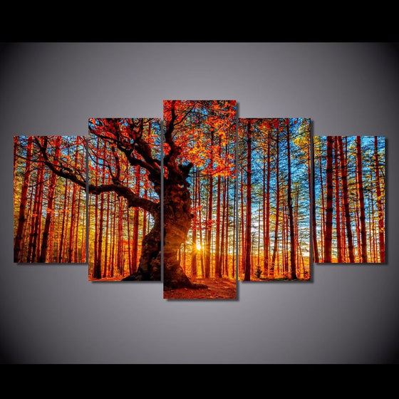 Autumn Forest Sky Trees Canvas Wall Art