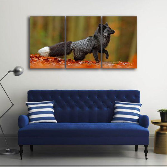 Adorable Wild Black Fox 3 Panels Canvas Wall Art Print
