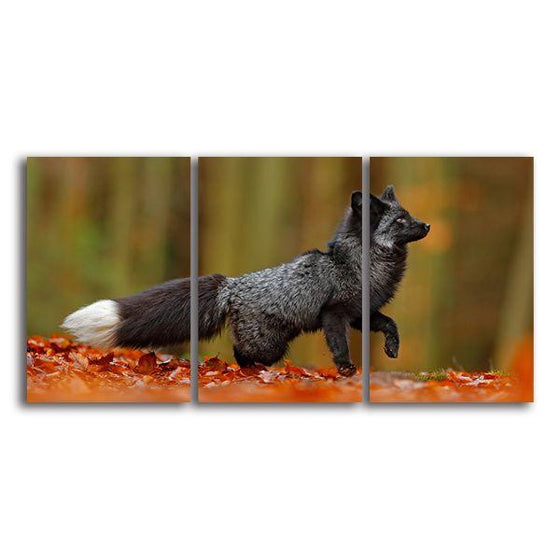 Adorable Wild Black Fox 3 Panels Canvas Wall Art