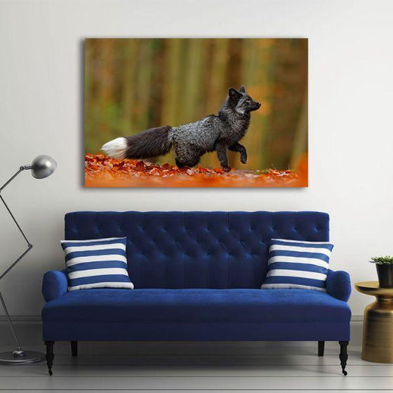 Adorable Wild Black Fox Canvas Wall Art Living Room